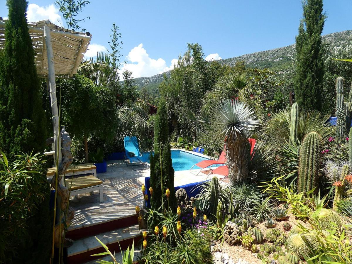 Villa Tropica, Total Privacy, Tropical Garden And Private Pool Kaštela Exteriör bild