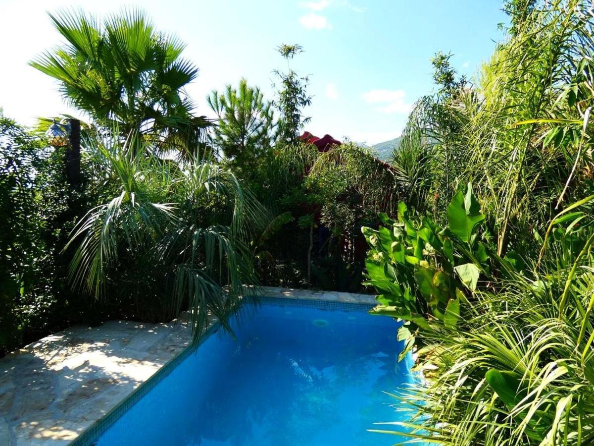 Villa Tropica, Total Privacy, Tropical Garden And Private Pool Kaštela Exteriör bild