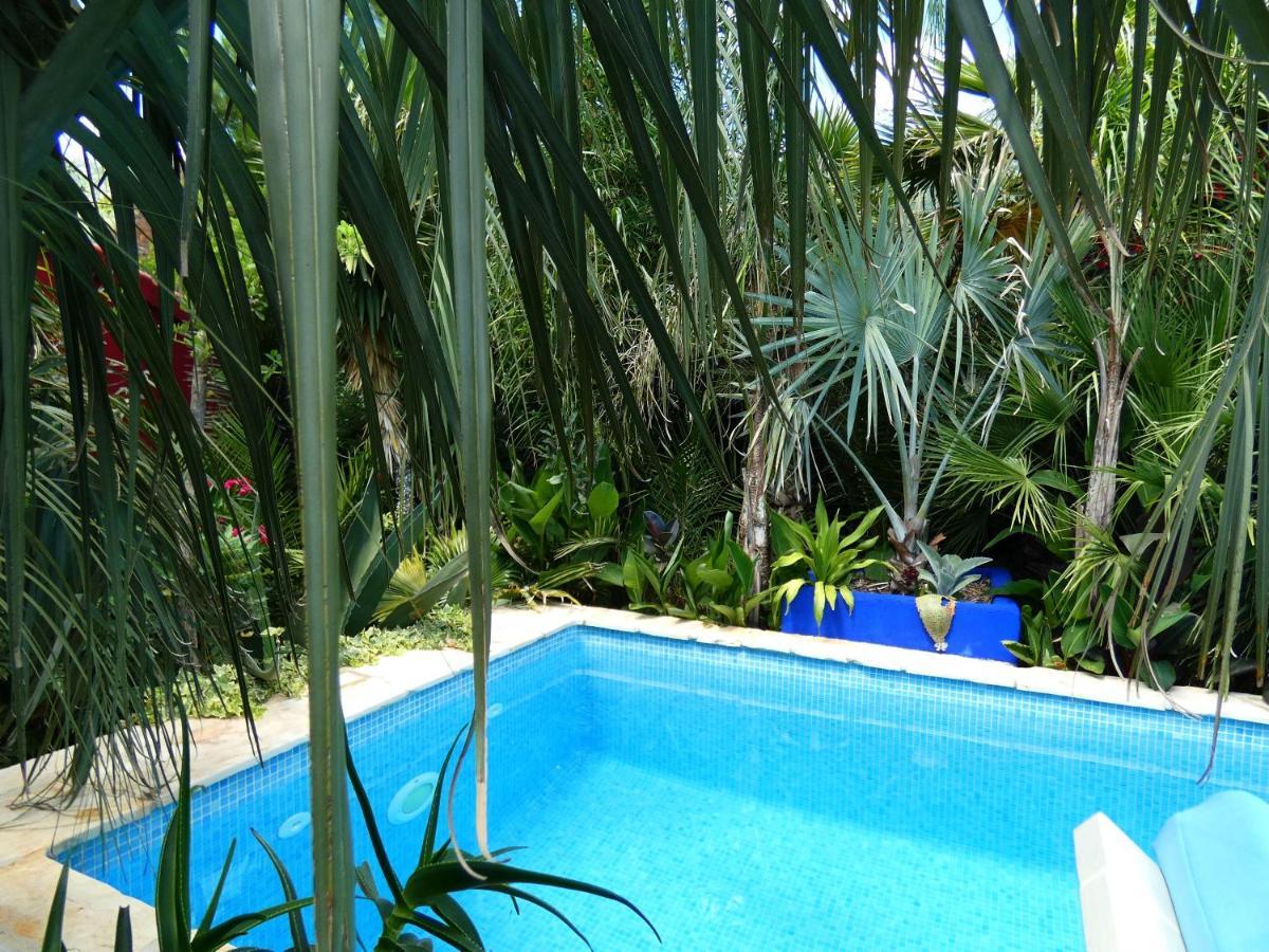 Villa Tropica, Total Privacy, Tropical Garden And Private Pool Kaštela Exteriör bild