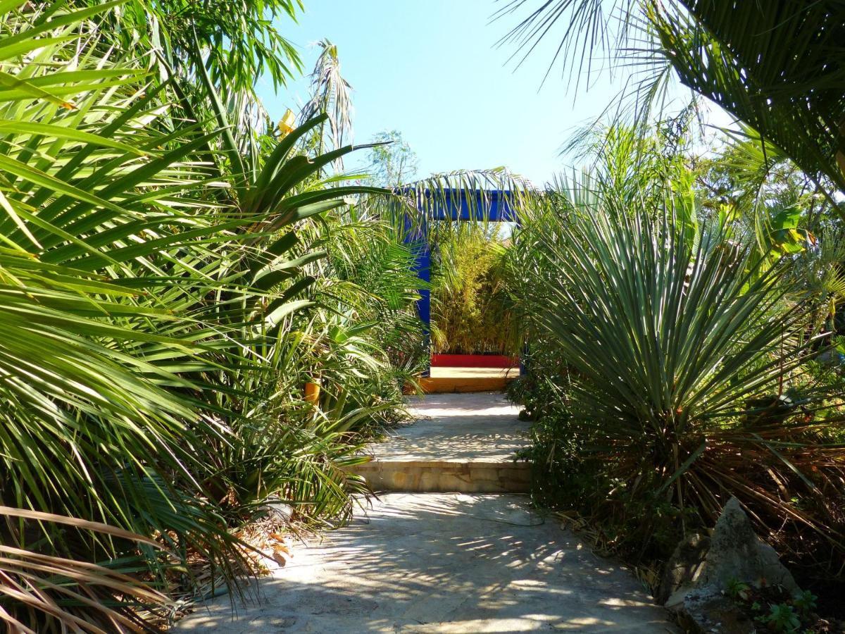 Villa Tropica, Total Privacy, Tropical Garden And Private Pool Kaštela Exteriör bild